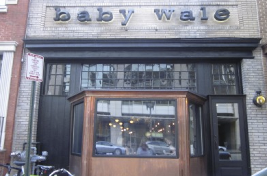 Baby Wale - Mt Vernon Square DC