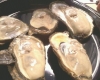 James Hoban's Oysters